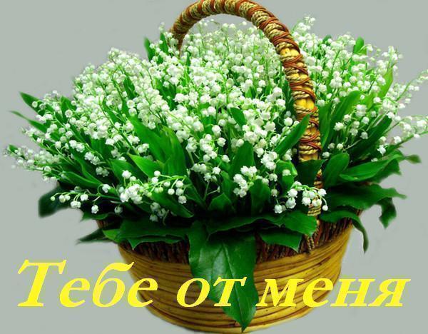 Flowers to you from me (тебе от меня). Любовь настала - explorerussian.com - Learn Russian through songs