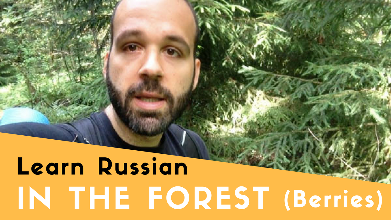 Be taught Russian within the Forest Choosing Berries